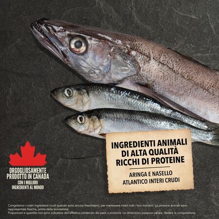 Acana Classics Wild Coast 9,7 Kg Alimenti Secchi per Cani