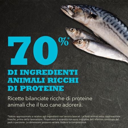 Acana Pacifica 11,4 Kg Alimenti Secchi per Cani