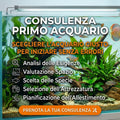 Come Scegliere l'Acquario Giusto: Consulenza Professionale per Fare la scelta Giusta - 30 Minuti -