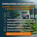 Stop alle Alghe nell'Acquario: Consulenza Professionale e Trattamento Mirato - 30 Minuti -