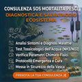 Diagnostica e Prevenzione della Mortalità dei Pesci in Acquario: Consulenza Professionale - 30 Minuti -
